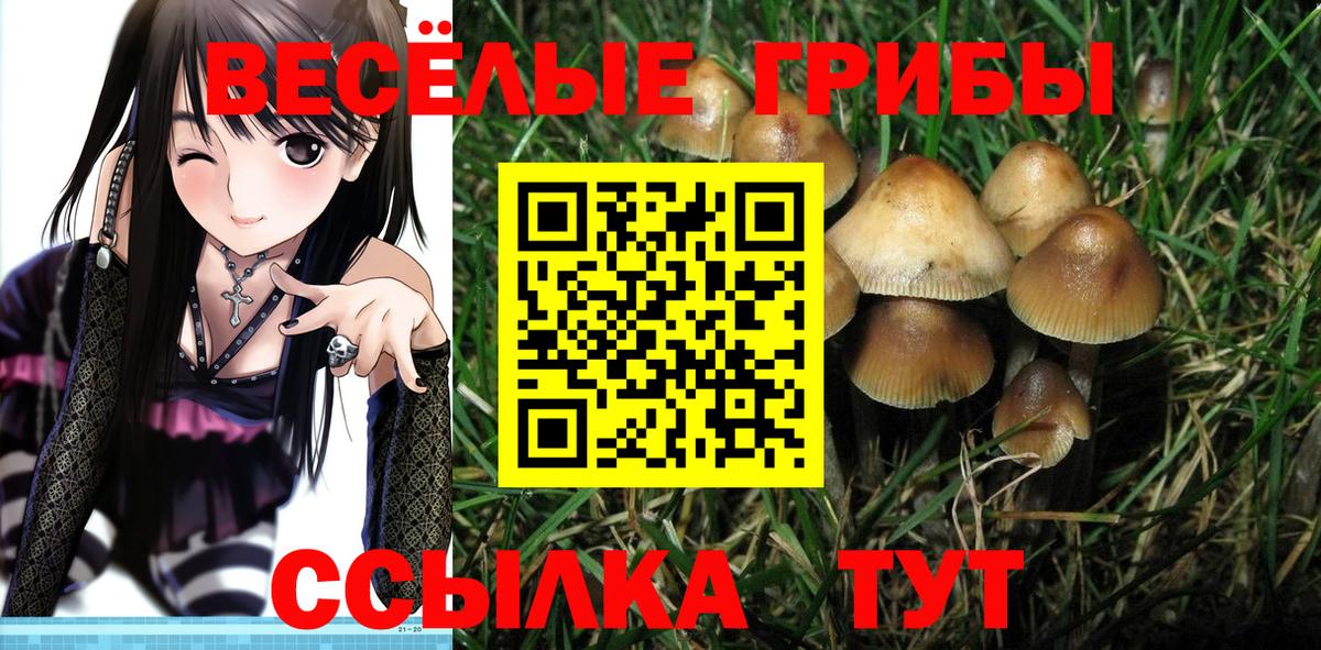 Псилоцибиновые грибы Magic Shrooms  хочу   Кемерово  Вход с VPN 